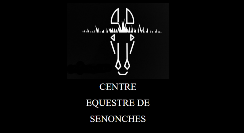 Logo de la structure CENTRE EQUESTRE DE SENONCHES