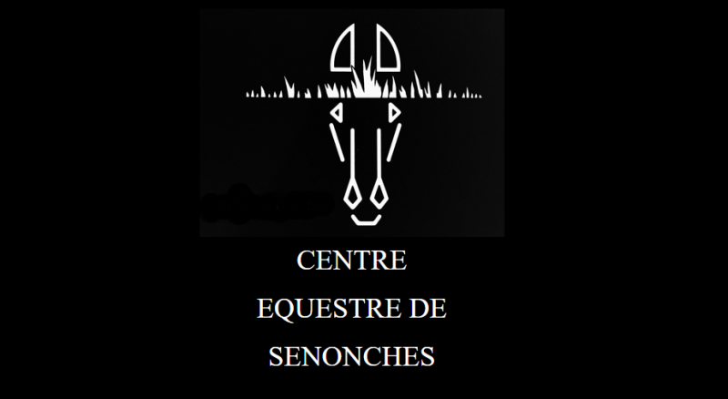 CENTRE EQUESTRE DE SENONCHES logo