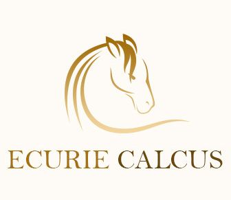 HARAS DE LA SAINTE VICTOIRE    logo