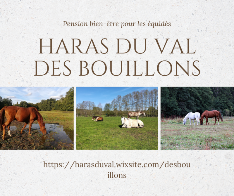 Haras du val des Bouillons logo