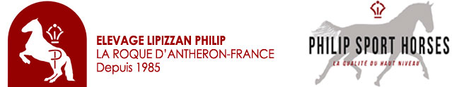 ELEVAGE PHILIP - PHILIP SPORT HORSES logo