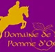 DOMAINE DE LA POMME D' OR logo