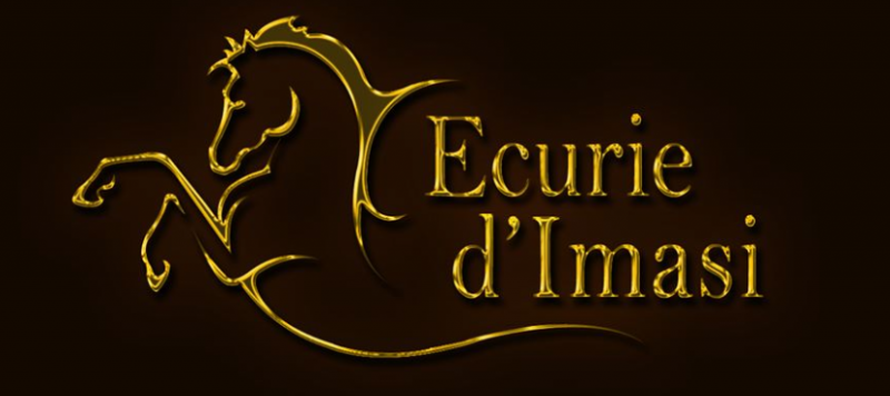 LES ECURIES D IMASI logo