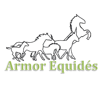 Armor Equidés logo