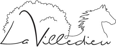 LA VILLEDIEU logo