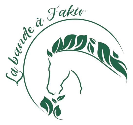 La bande à Fakir logo