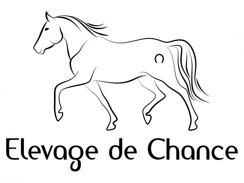 ELEVAGE DE CHANCE logo