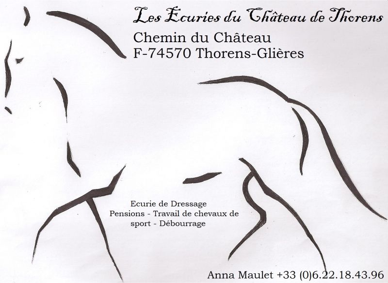 ECURIES DU CHATEAU DE THORENS logo