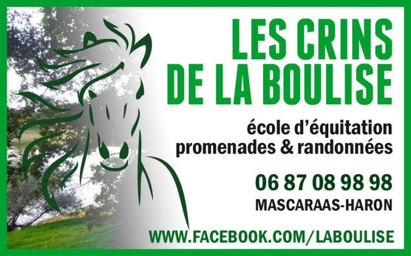 LES CRINS DE LA BOULISE logo