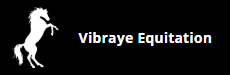 VIBRAYE EQUITATION logo