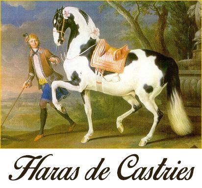 Logo de la structure HARAS DE CASTRIES