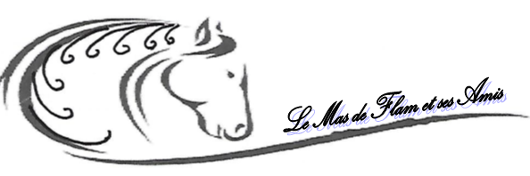 LE MAS DE FLAM ET SES AMIS logo