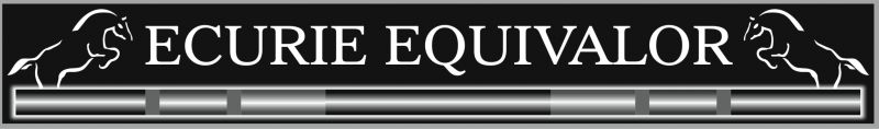 EQUIVALOR logo