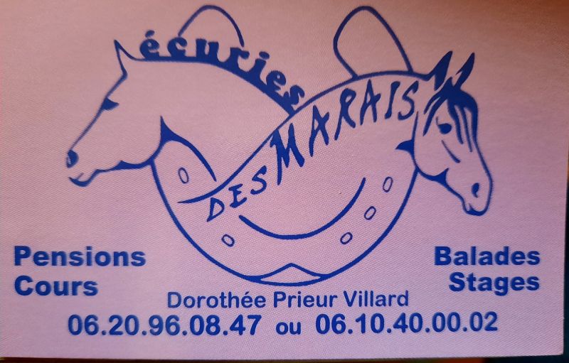 ECURIES DES MARAIS logo