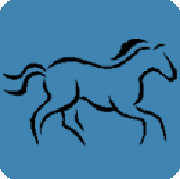 CENTRE EQUESTRE DE BOUCHAIN logo