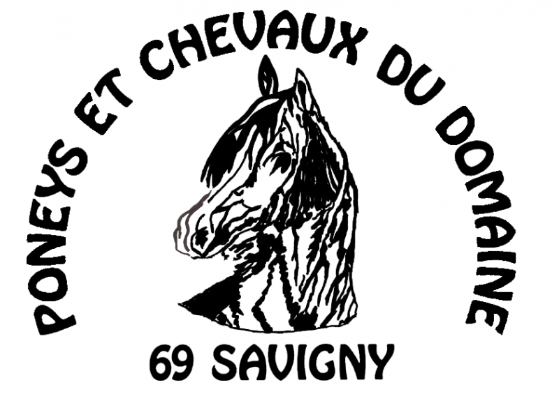 PONEYS ET CHEVAUX DU DOMAINE logo