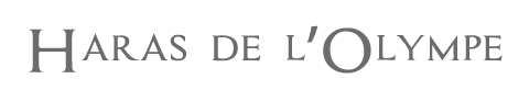 HARAS DE L' OLYMPE logo