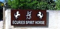 ECURIE SPIRIT HORSE logo