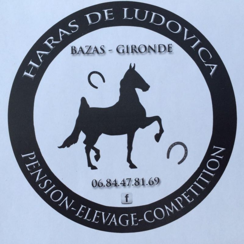 Logo de la structure HARAS DE LUDOVICA