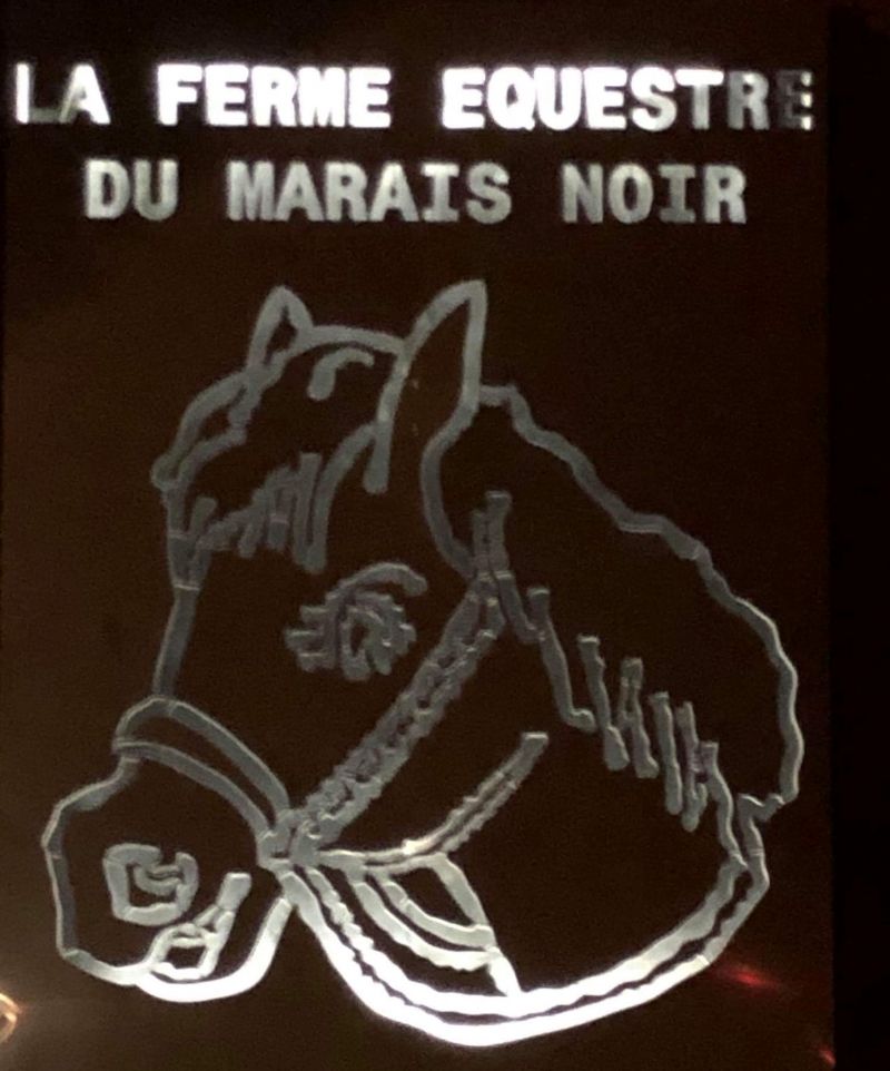 FERME  EQUESTRE  DU MARAIS NOIR logo