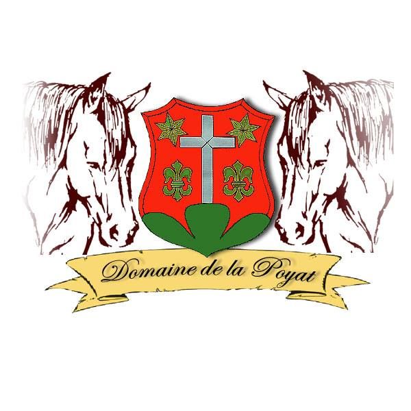 DOMAINE DE LA POYAT logo