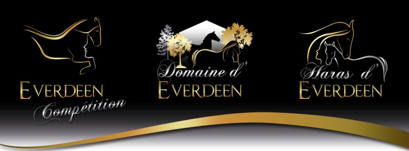 Logo de la structure HARAS D' EVERDEEN