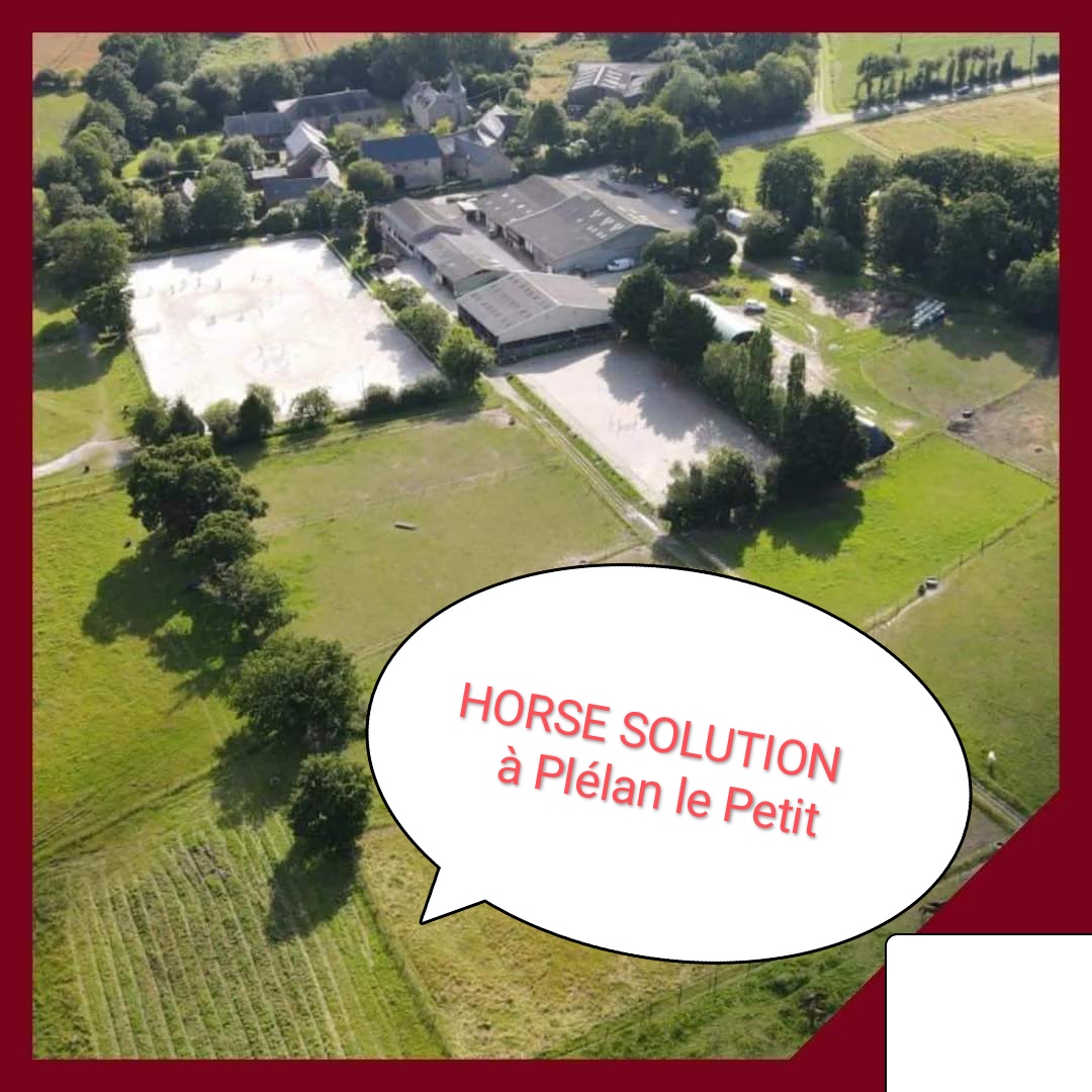 Écurie Horse Solution logo