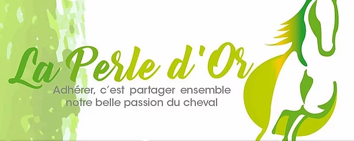 ASSOCIATION LA PERLE D OR logo