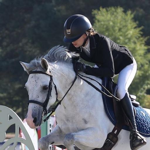 ECURIES LAVENTIE - FFE logo