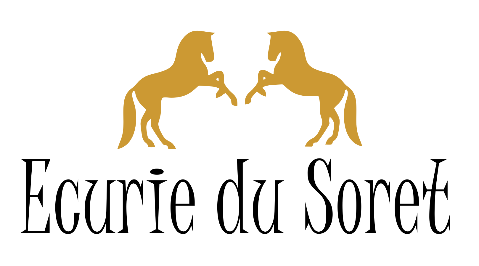 Ecurie du soret logo