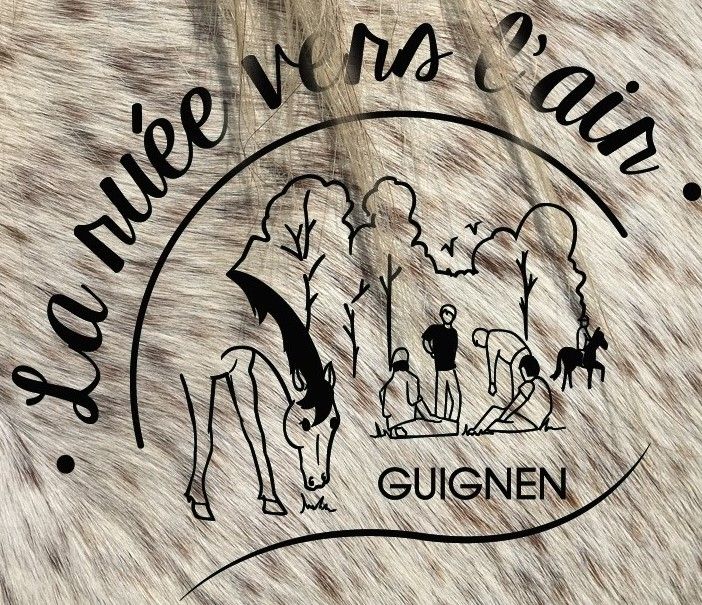 LA RUEE VERS L' AIR logo