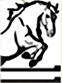 HARAS DE L' EPINE NOIRE logo