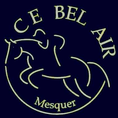 Logo de la structure CENTRE EQUESTRE DU BEL AIR PRIAC