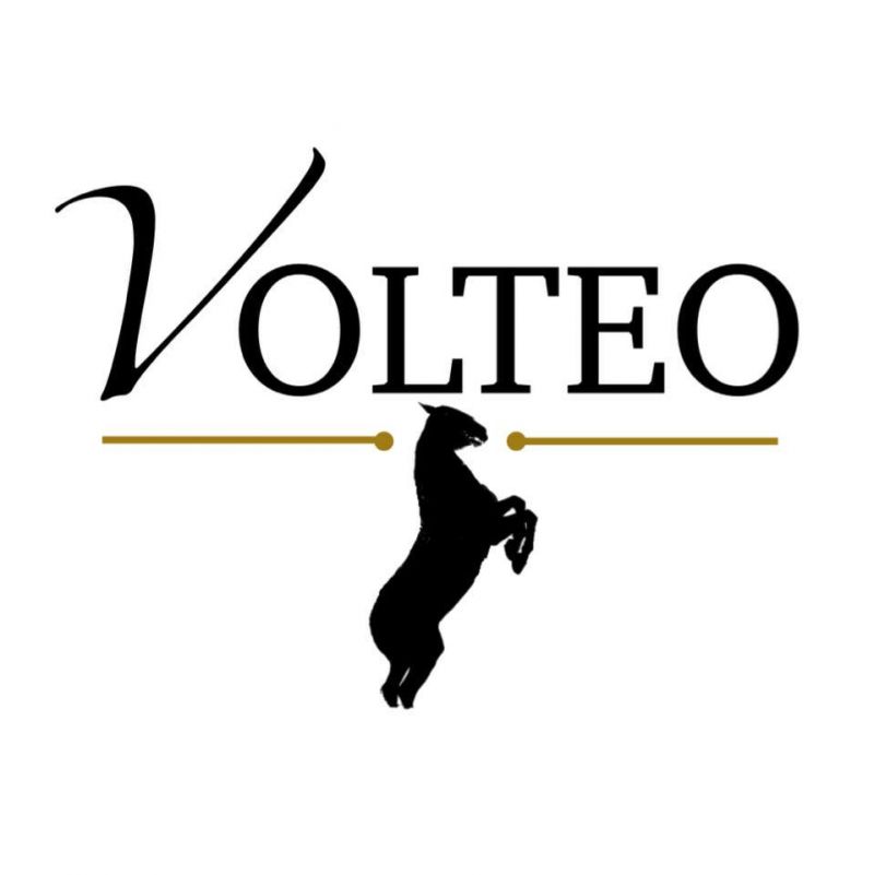 ECURIE VOLTEO logo