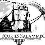 ECURIE SALAMMBO logo