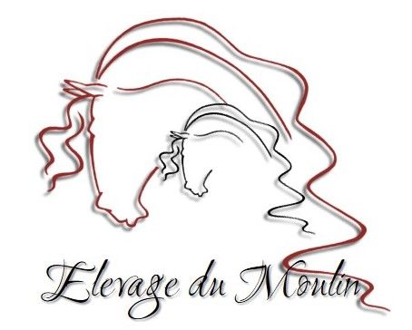 ELEVAGE DU MOULIN "LES FRISONS DU MOULIN" logo