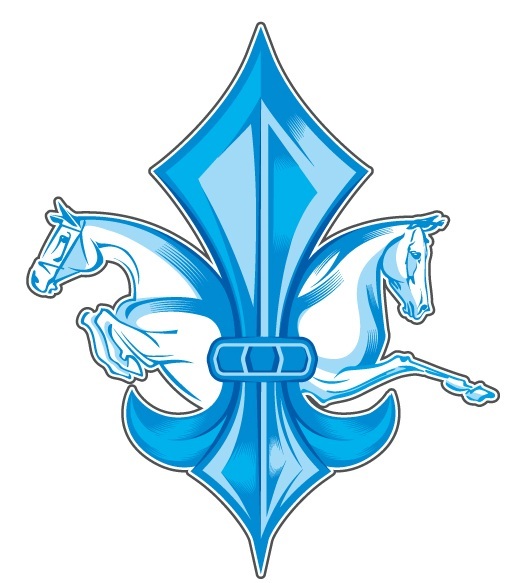 Logo de la structure Les Ecuries du Lys Bleu