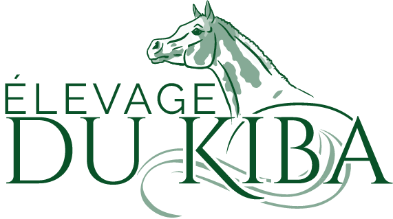 ELEVAGE DU KIBA logo