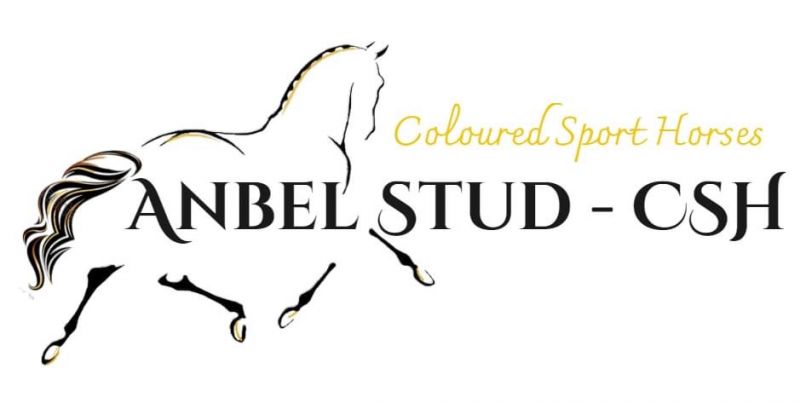Anbel Stud - CSH logo