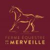 Logo de la structure FERME EQUESTRE DE LA MERVEILLE