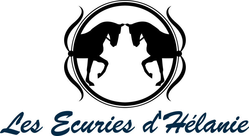 Logo de la structure LES ECURIES D' HELANIE