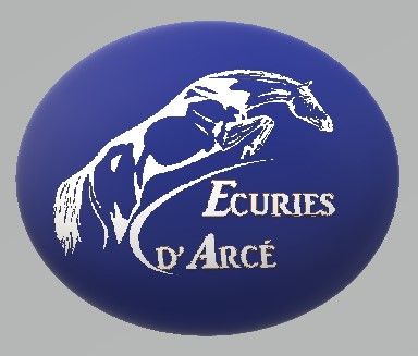 Logo de la structure LES ÉCURIES D'ARCÉ