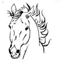 CENTRE EQUESTRE DE LA BENARDIERE logo