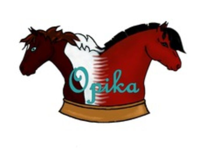 PENSION D' OPIKA logo
