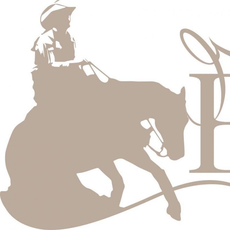 EMY REINING HORSES logo