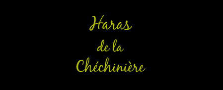 HARAS DE LA CHECHINIERE logo