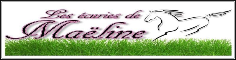 LES ECURIES DE MAELINE logo