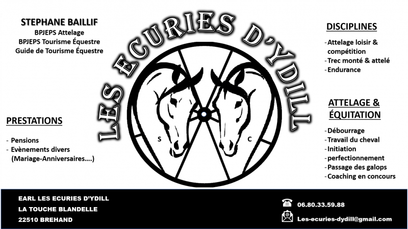 les Ecuries d'Ydill logo