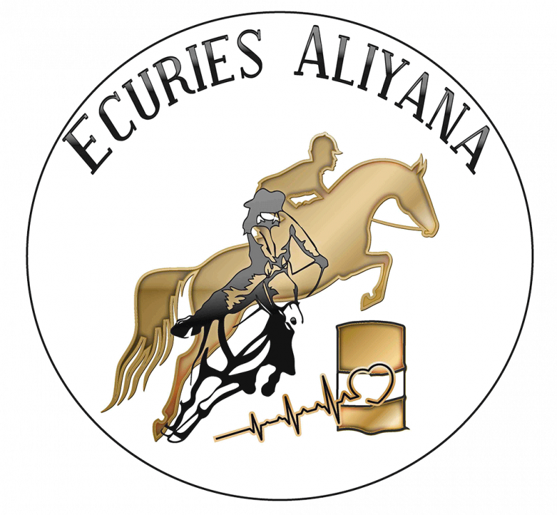 Logo de la structure LES ECURIES D' ALIYANA