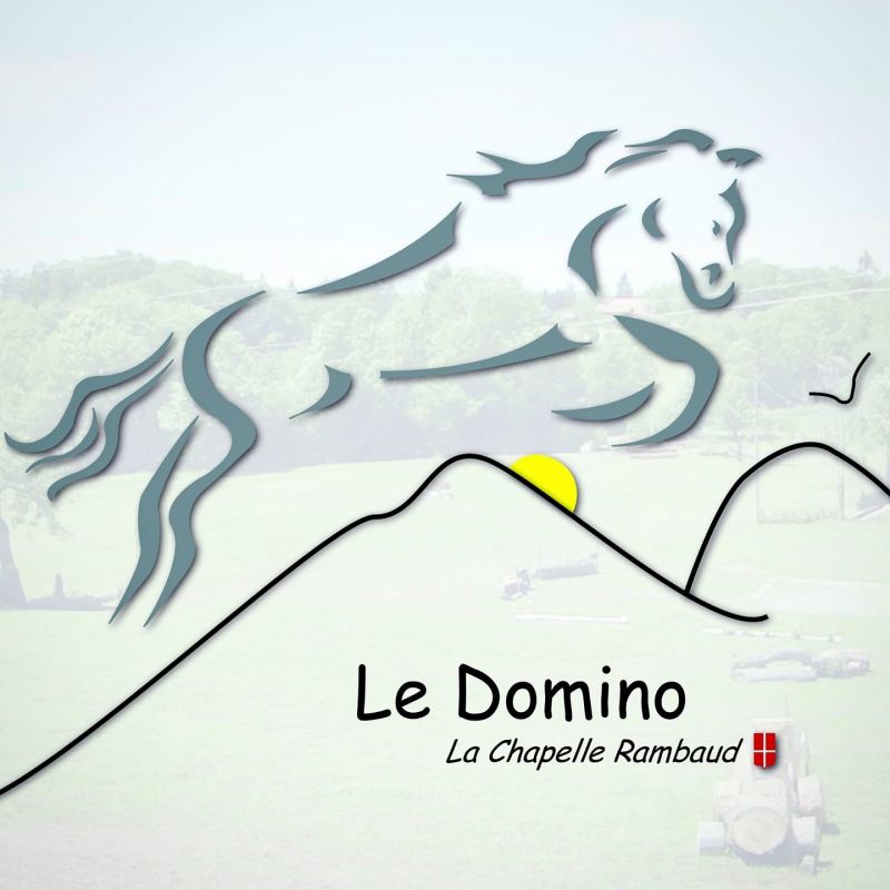 CENTRE EQUESTRE LE DOMINO logo